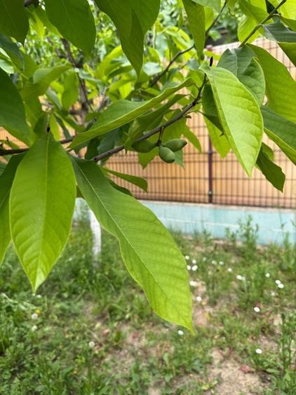 Casă individuală cu 4 camere cu Canalizare în Plopi