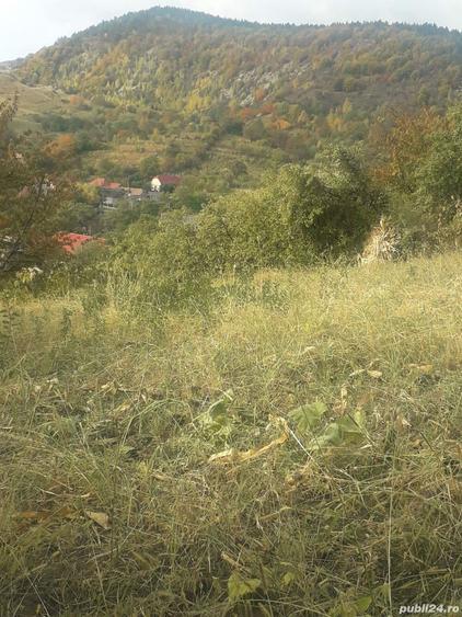 Teren intravilan sat Bratesti,com Barsanesti PRET NEGOCIABIL - 8
