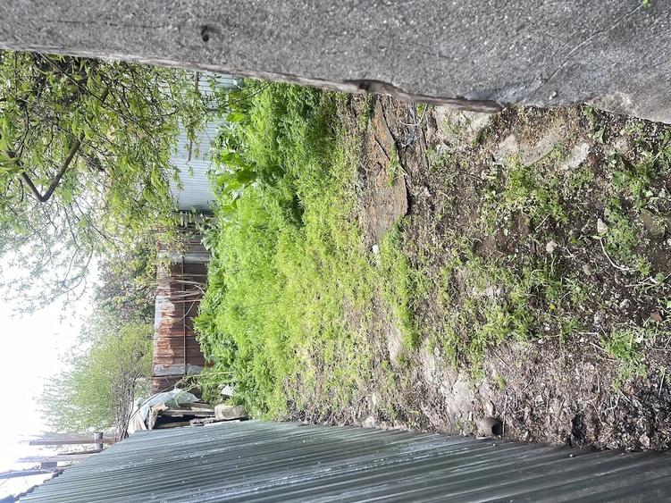 Casă cu Teren 190 Mp în Central