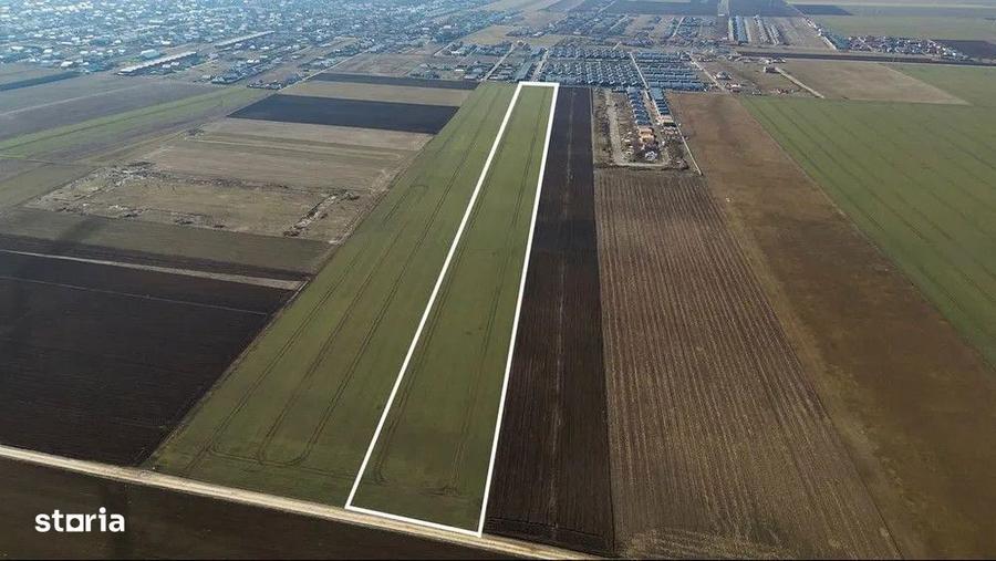 Teren de 38500 mp, în Tărlungeni