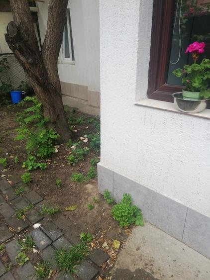 Casă cu 3 camere în Central