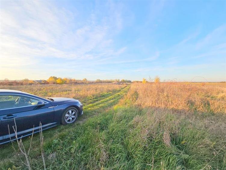 Teren agricol extravilan de 10000 mp, în 9 Mai