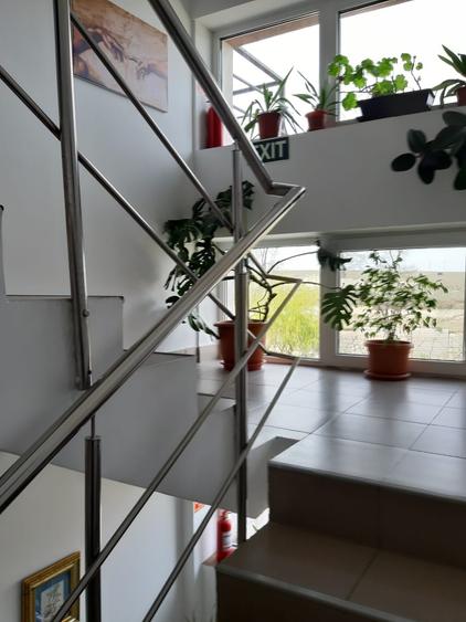 Casă individuală cu 16 camere cu Canalizare în Est