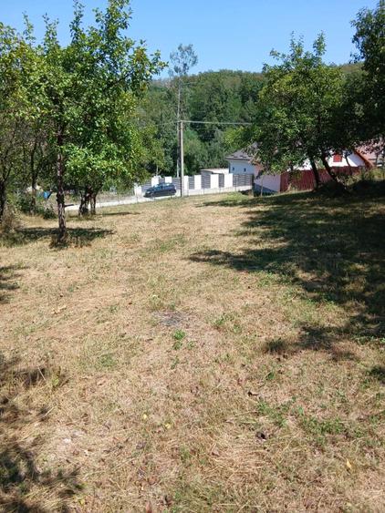 Teren de 2652 mp, în Scoreiu