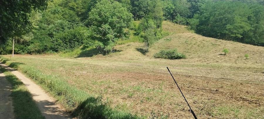 Teren de 15000 mp, în Central