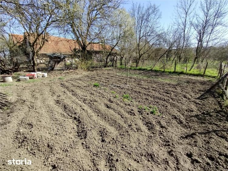 Casă cu 8 camere cu Teren 3800 Mp în Central