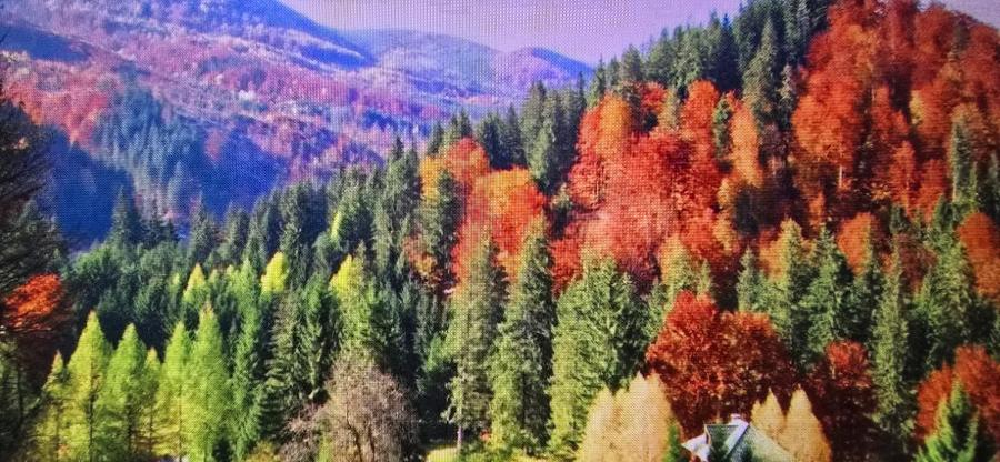 Teren agricol extravilan de 57000 mp, în Lepșa