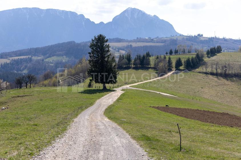 Teren Construcții intravilan de 3791 mp, în Poiana Mărului