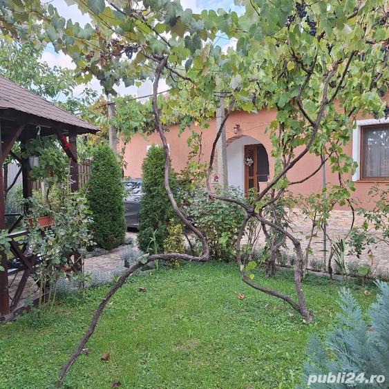 Casă cu 5 camere cu Teren 1600 Mp în Petroasa Mare