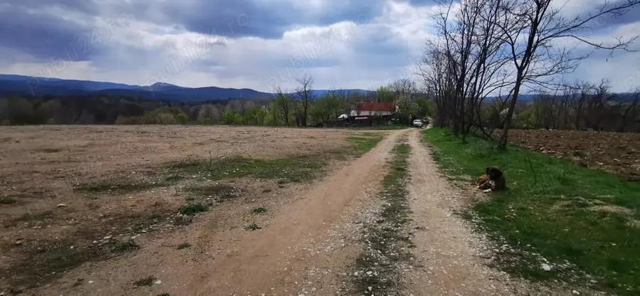 Teren de 26500 mp, în Calea Caransebeșului