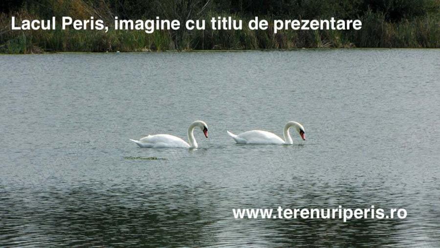 Terenuri IN RATE 500 luna, teren 25 langa Ciolpani, Izvorani - 11