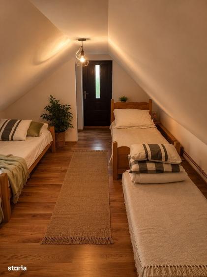 Casa de vacanta in Campu Cetatii,teren 2.400 mp, langa rau si padure - 9