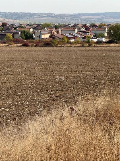 teren intravilan localitatea Paleu 1 km de limita cu Oradea