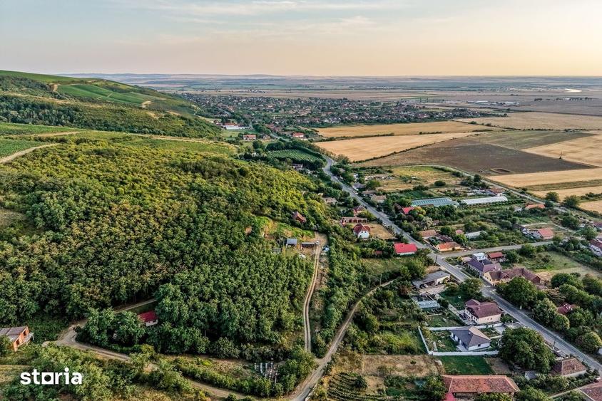 Teren de 1150 mp, în Miniș