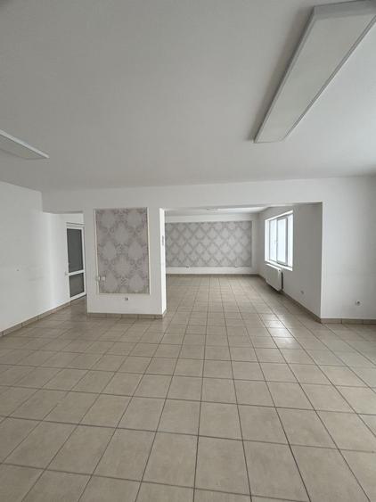 Spațiu zona Mehala - 15