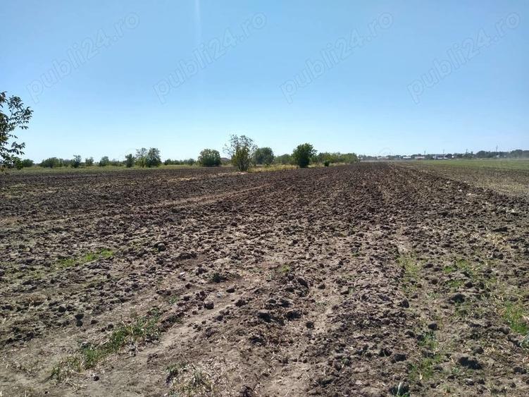 Teren de 8643 mp, în Postăvari