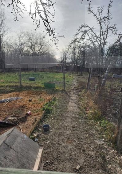 Casă individuală cu 3 camere cu Teren 900 Mp în Lugoj