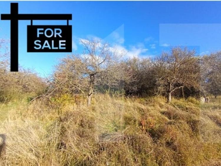 Teren agricol extravilan de 1000 mp, în Feleacu