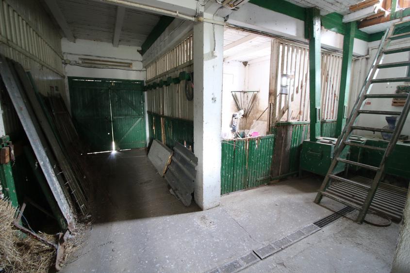 Spațiu comercial, de 3,000 mp, în Scânteiești