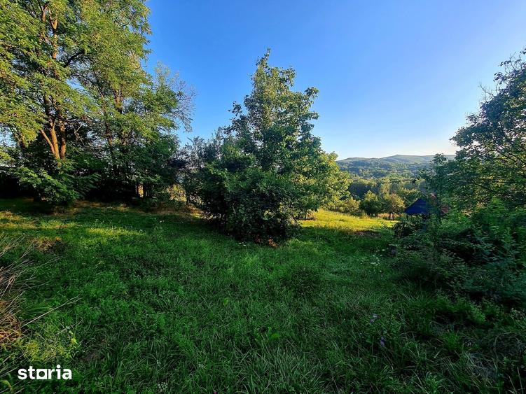 Teren de 3250 mp, în Păușești
