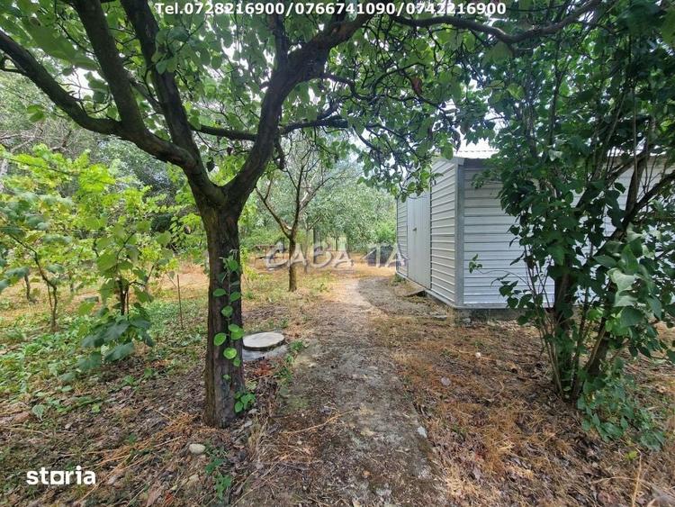 Casă cu 3 camere cu Teren 2554 Mp în Arcani