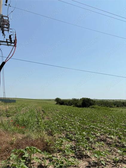 Teren de 8600 mp, în Central