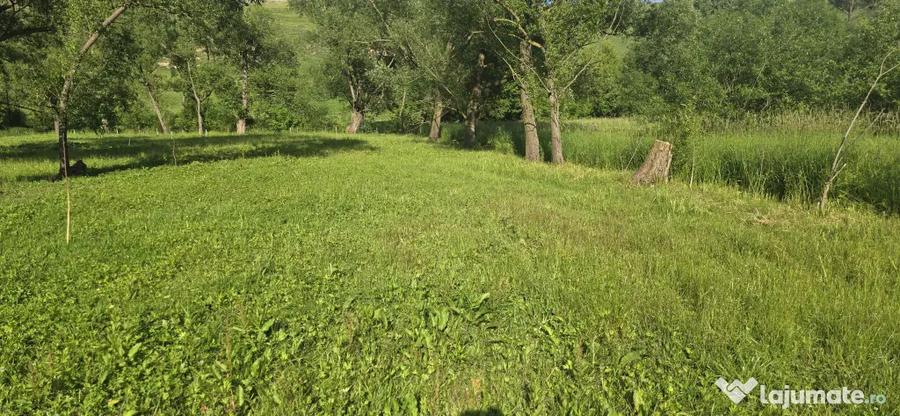 Casă cu 4 camere cu Teren 93 Mp în Zaharești