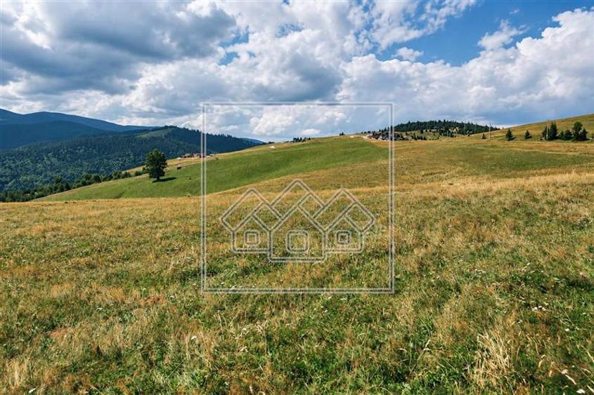 Teren Construcții intravilan de 3000 mp, în Aeroport