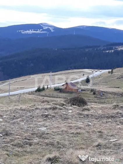 Teren de 3854 mp, în Paltin