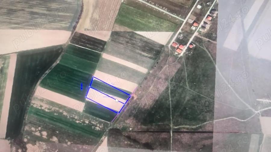 De vanzare teren intravilan in sat Cihei, Comuna Sanmartin jude?ul Bihor - 2