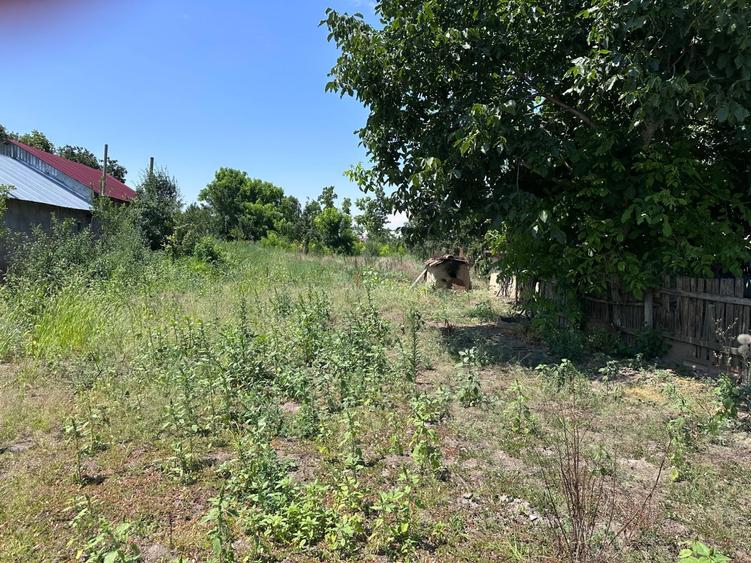 Casă cu 3 camere în Luciu