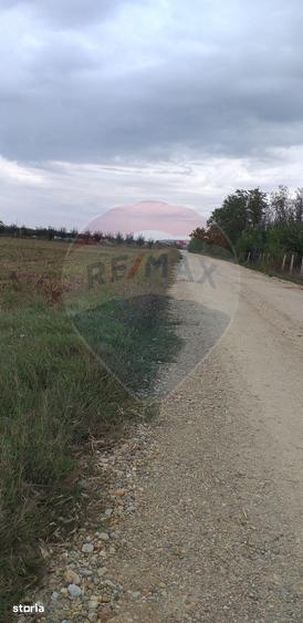 Teren de 3000 mp, în Borș