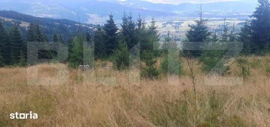 Teren extravilan de vanazre, 42.152 mp, zona Saru Dornei - 1