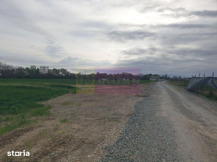 Teren ideal dezvoltare imobiliara in Magurele strada Atmosferei - 14