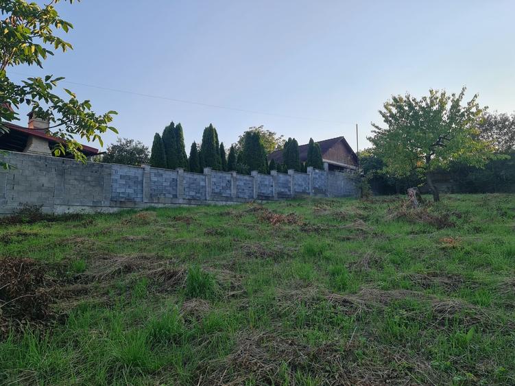 Casă cu 3 camere în Central