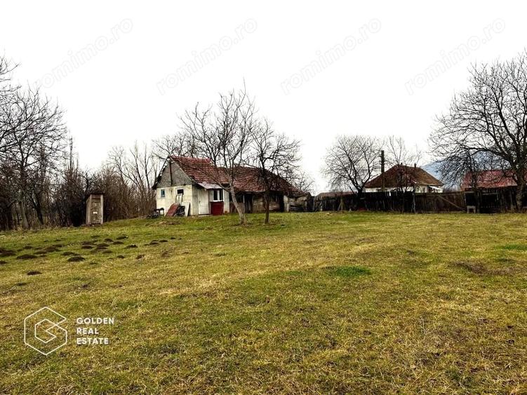 Teren de 2880 mp, în Șiria