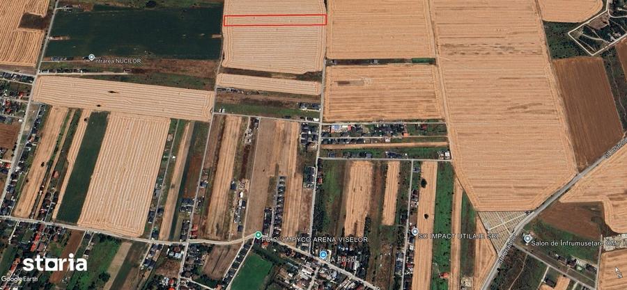 Teren intravilan 12.500 mp Dragomiresti Vale, Str. Lalelelor - 2