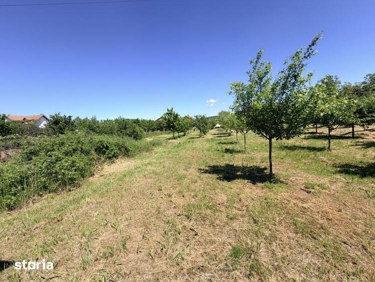 Casă cu 6 camere cu Teren 3000 Mp în Cârcea