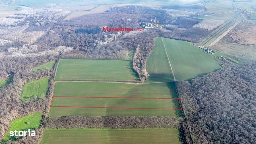 Teren de 16900 mp, în Grădiștea
