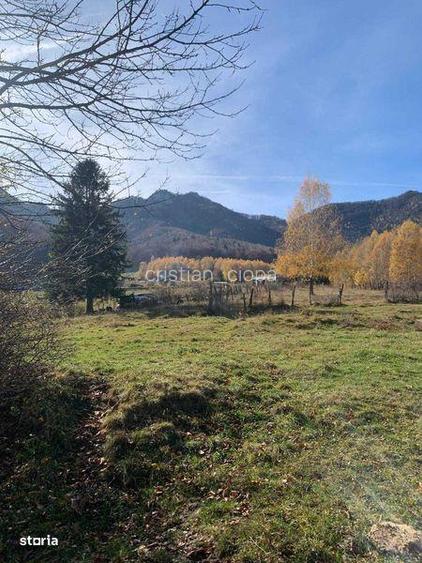 Teren Tohanita - Brasov