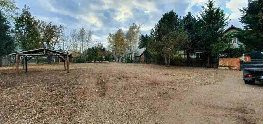 Vilă pe malul lacului, 6 camere, Snagov - 2