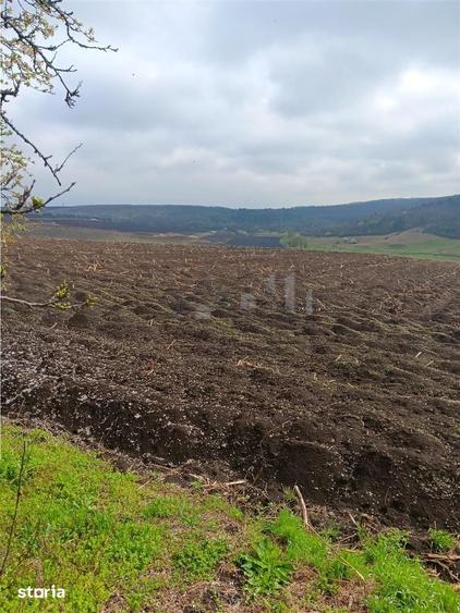 Teren de 46000 mp, în Aroneanu