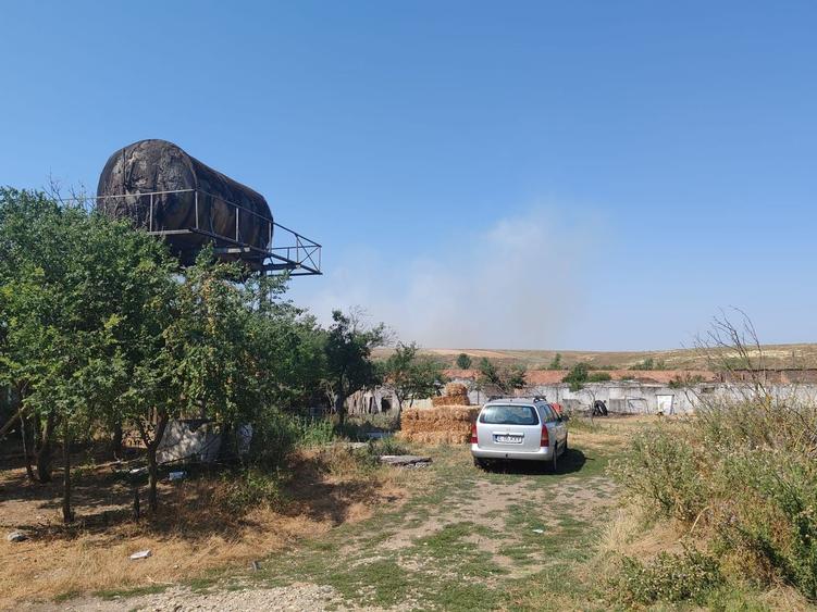 Teren agricol intravilan de 9795 mp, în Rădoiești