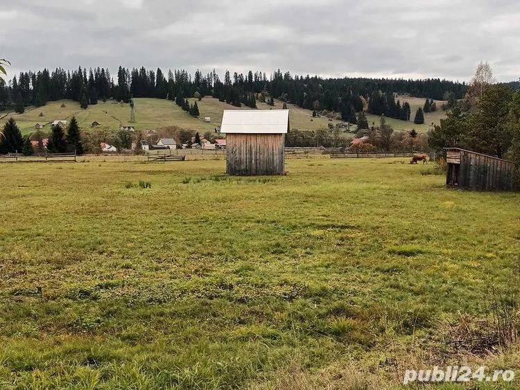 Teren de 9916 mp, în Coșna