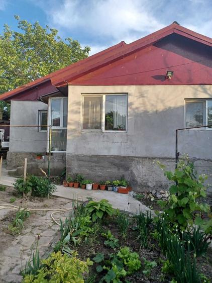 Casă cu 4 camere în Babadag