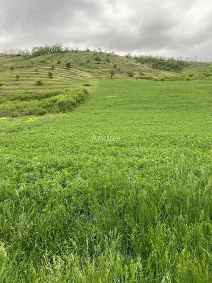 Vand Teren in Stejeris - 0753 019 211