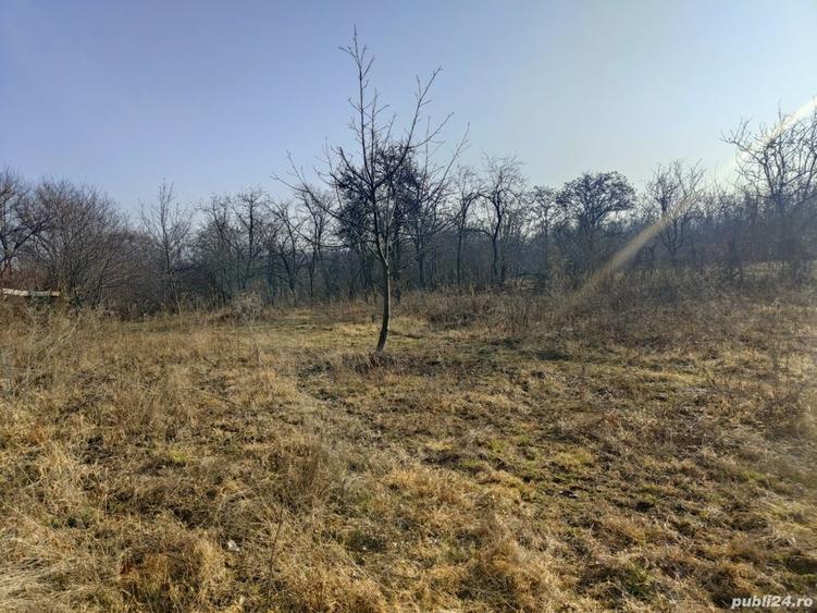 Teren de 2440 mp, în Podenii Vechi