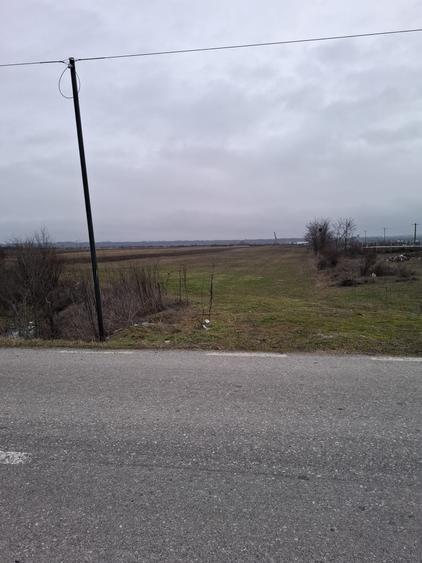 Teren Construcții intravilan de 2500 mp, în Dragomirești