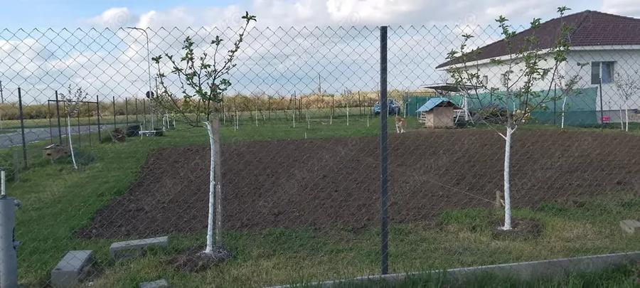 Teren de 589 mp, în Remetea Mare