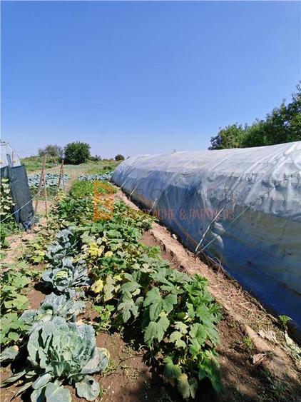 Casă individuală cu 4 camere cu Canalizare în 1 Decembrie